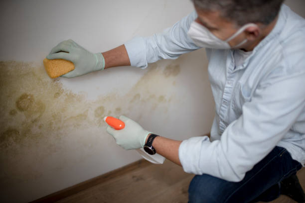 Water Damage Restoration in White Pigeon, MI