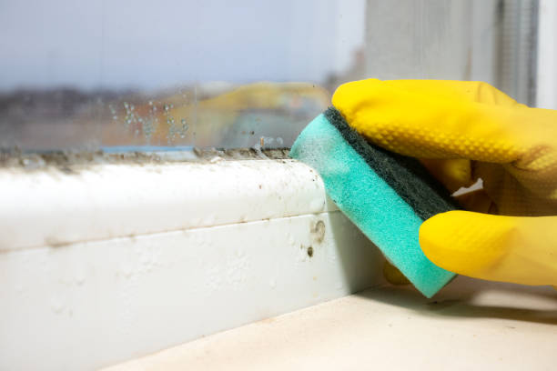 Water Damage Restoration in White Pigeon, MI