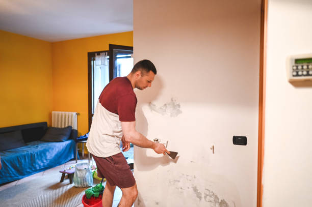 Best Water Damage Restoration  in White Pigeon, MI